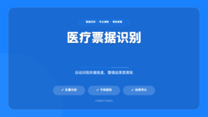 报关单识别助手