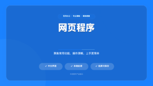 网页程序