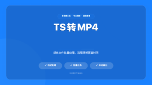 TS视频转MP4工具